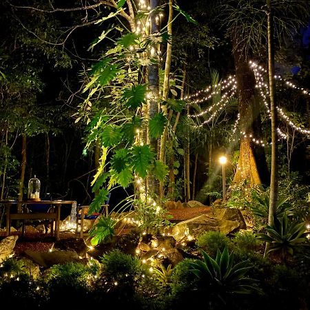 Cairns Rainforest Retreat Екстериор снимка