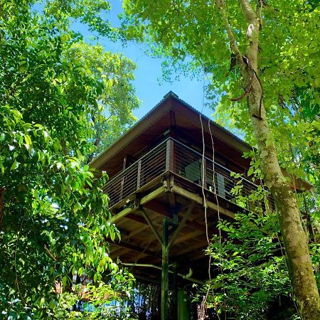 Cairns Rainforest Retreat Екстериор снимка