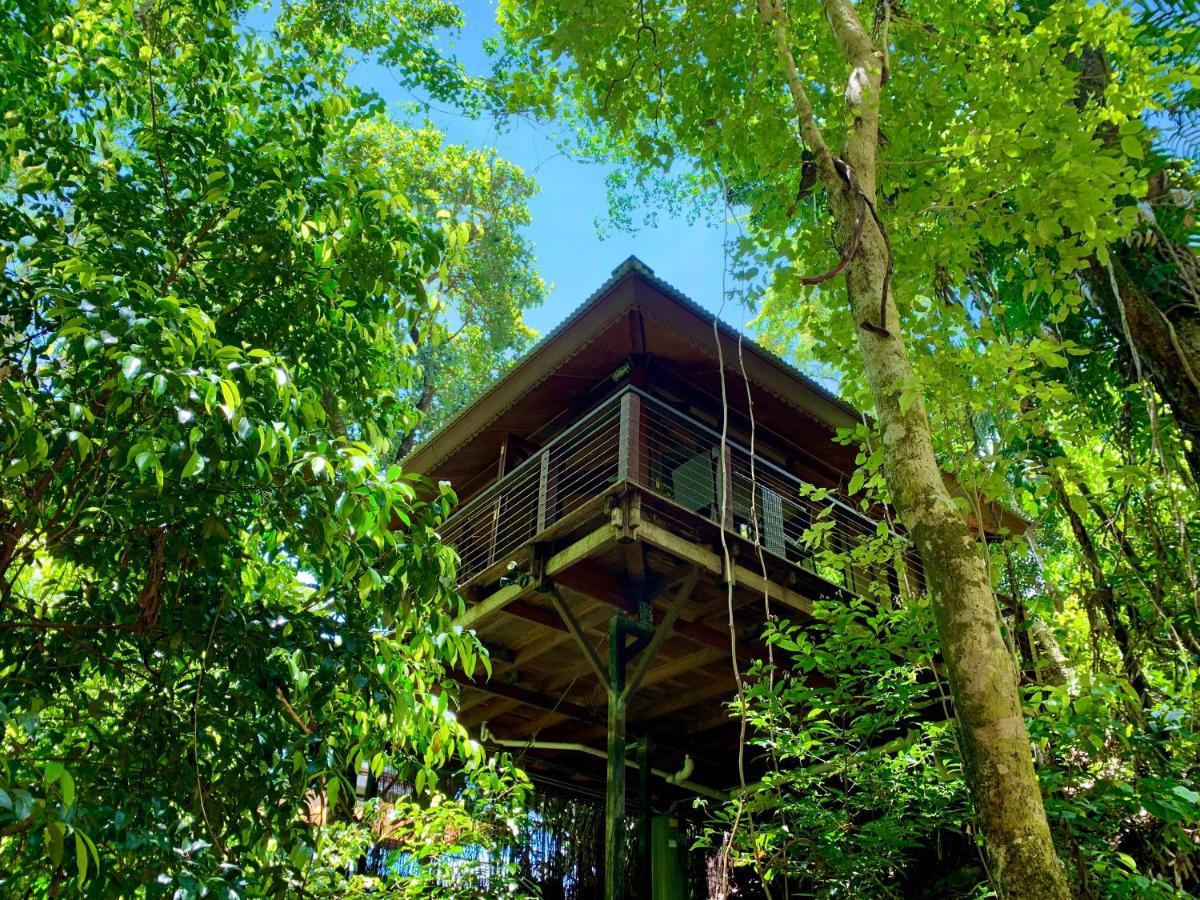 Cairns Rainforest Retreat Екстериор снимка