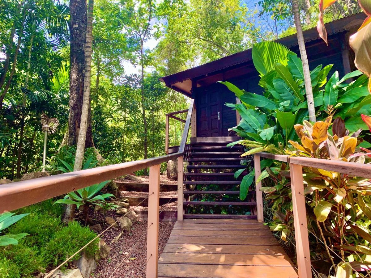 Cairns Rainforest Retreat Екстериор снимка