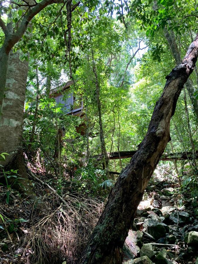 Cairns Rainforest Retreat Екстериор снимка