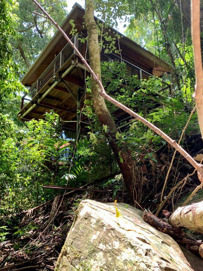 Cairns Rainforest Retreat Екстериор снимка
